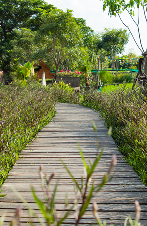 The wooden walkways in the flower garden.の写真素材