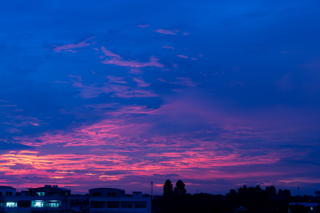 Beautiful light of sunset behind the trees.の写真素材