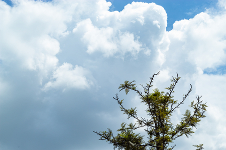 The beauty of the sky with clouds, and the sun.の写真素材
