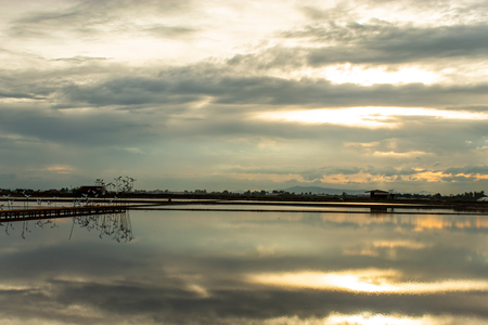 Sunset light reflects from the surface of the water.の写真素材