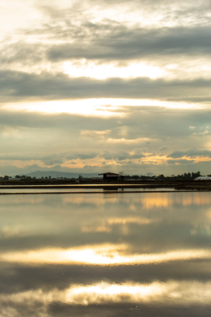 Sunset light reflects from the surface of the water.の写真素材