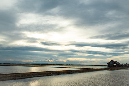 Sunset light reflects from the surface of the water.の写真素材