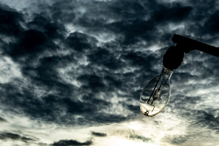 Light bulb on wood and light in the morning.