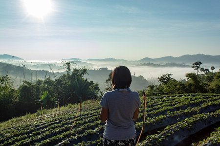 Women are watching the fog on the mountain.の写真素材