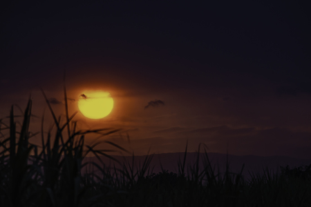 Sunset in the evening after the grass and the mountains.の写真素材