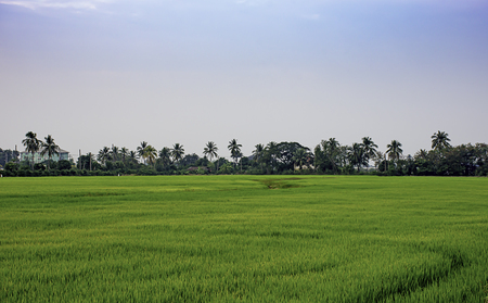 Beautiful light of Sunset with clouds in the sky reflection behind the building and paddy fields.の写真素材