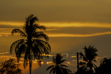 Sunset the evening light through the clouds and  trees.の写真素材