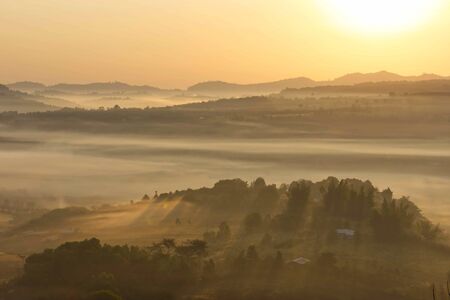 Morning mist covered by trees at Khao Takhian Ngo Phetchabun in Thailand.の写真素材