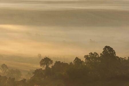 Morning mist covered by trees at Khao Takhian Ngo Phetchabun in Thailand.