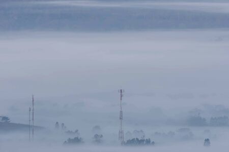 Telephone poles and trees in the morning mist.の写真素材