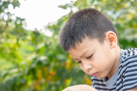 Portrait of Asian boys are playing mobile phones in park.の写真素材
