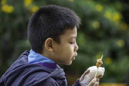 Asian boys are eating sticky rice and pork roast , The food is simple and popular to eat breakfast in Thailand.の写真素材