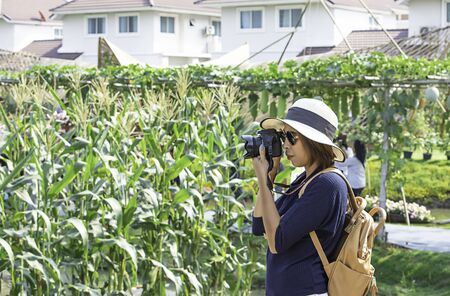 Hand woman holding the camera Taking pictures Background corn fields and vegetable gardens.の写真素材