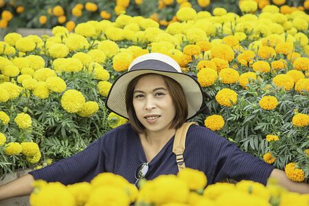 Woman in Yellow Marigold flowers garden or Tagetes erecta in gardenの写真素材