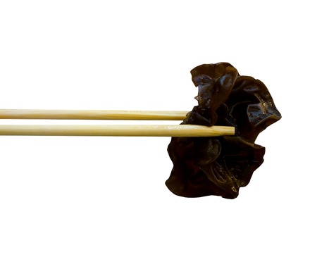 A piece of fungus in Sukiyaki mealの写真素材