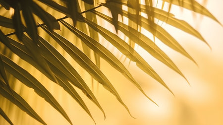 palm leaves close up on a yellow background with a blurred backgroundの素材