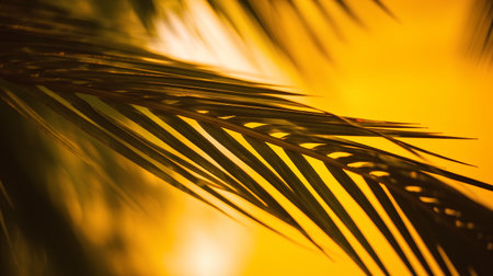 Close up of palm leaf on the beach at sunset. Tropical backgroundの素材