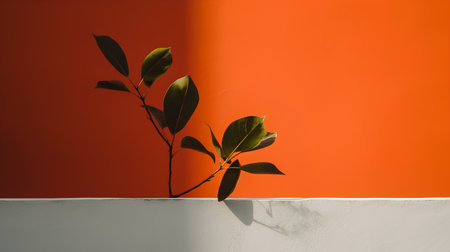 Plant on the wall with orange and red background. Minimal concept.の素材