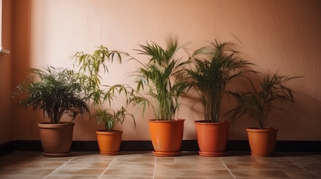 Houseplants in pots on the floor in the interior of a roomの素材