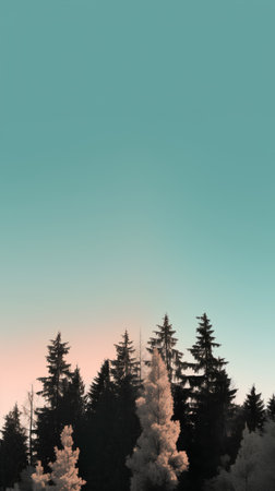 Beautiful winter landscape with coniferous trees and blue sky.の素材