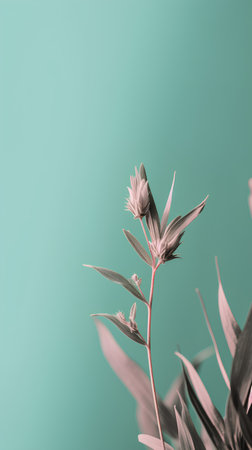 Flowers and leaves on a green background. Minimal nature concept.の素材