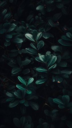Green leaves background. Nature concept. Vintage tone filter effect color style.の素材