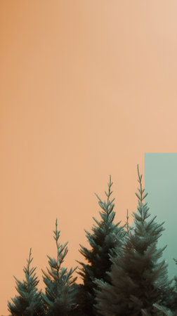 Pine tree on orange background. Minimal nature concept. 3D illustrationの素材