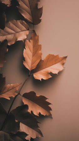 Autumn oak leaves on a brown background. Autumn background. Flat lay, top view.の素材
