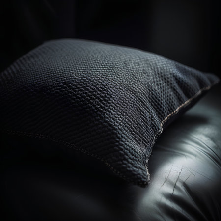 Black leather sofa with pillows, close-up. Selective focus.の素材