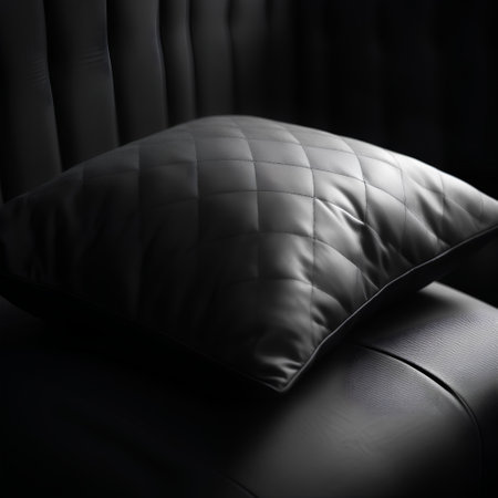 Black leather upholstery sofa with pillows in a dark roomの素材