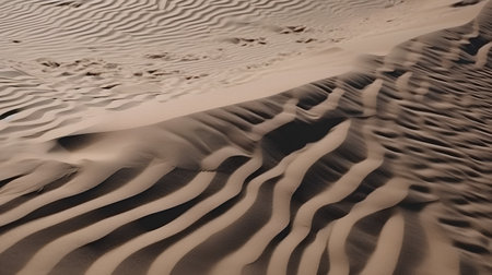 Sand dunes in the desert of Maspalomas Gran Canariaの素材