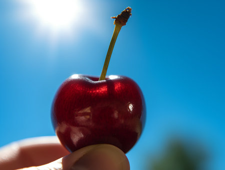 cherry in hand on a blue background with sun rays and lens flareの素材