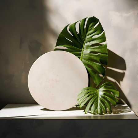 3d render of a white round podium with monstera leaves.の素材