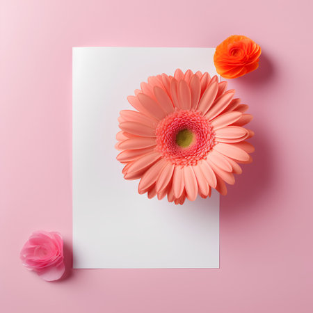 Creative layout made of pink gerbera flowers and blank paper sheet on pink background. Flat lay.の素材