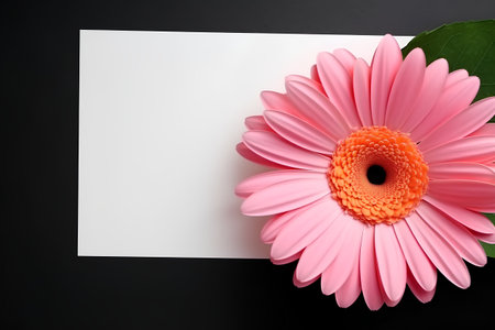 Pink gerbera with a blank card on a black background.の素材