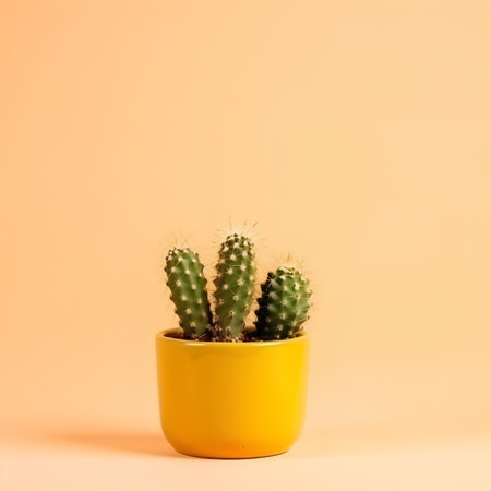 Cactus in yellow pot on orange background. Minimal style.の素材