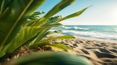 Tropical beach with palm leaves and turquoise sea on backgroundの素材