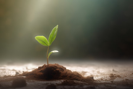 Young green seedling growing from soil on blurred dark background with sunlightの素材