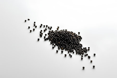 Black mustard seeds on a white acrylic background. Close-up.の素材