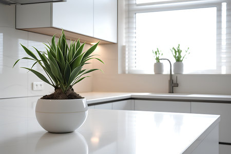 White modern kitchen interior with a white countertop and a large plant in a pot. 3d rendering mock upの素材