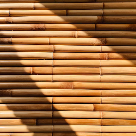 Bamboo wall with shadow from the sun. Background and texture.の素材