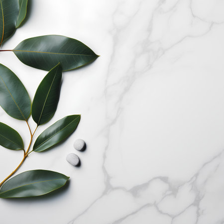 Eucalyptus leaves on white marble background. Flat lay, top viewの素材