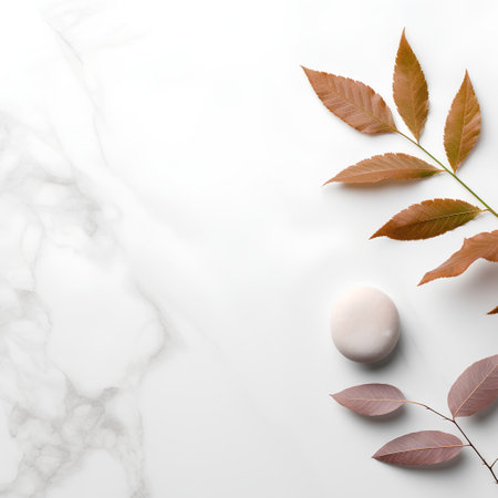 Minimalistic composition with autumn leaves and stone on white marble backgroundの素材