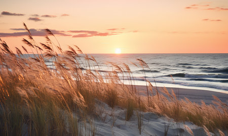Baltic sea shore at sunset. Beautiful seascape. Nature composition.の素材