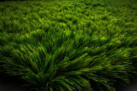 Green grass background. Close up of green grass texture. Green grass backgroundの素材