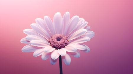 Pink gerbera flower on pink background. 3d rendering.の素材