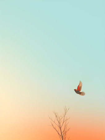 Bird flying in the sky at sunset. Colorful sky background.の素材