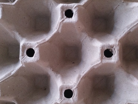 egg tray