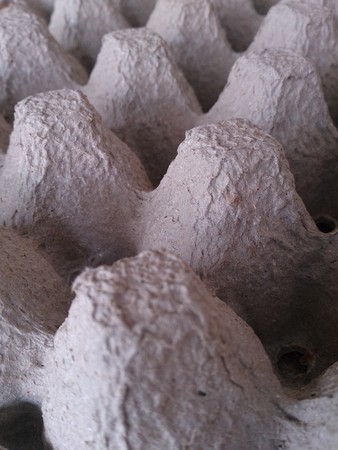 egg tray