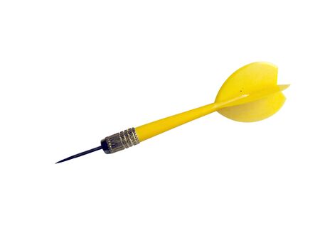 Yellow Dartの写真素材